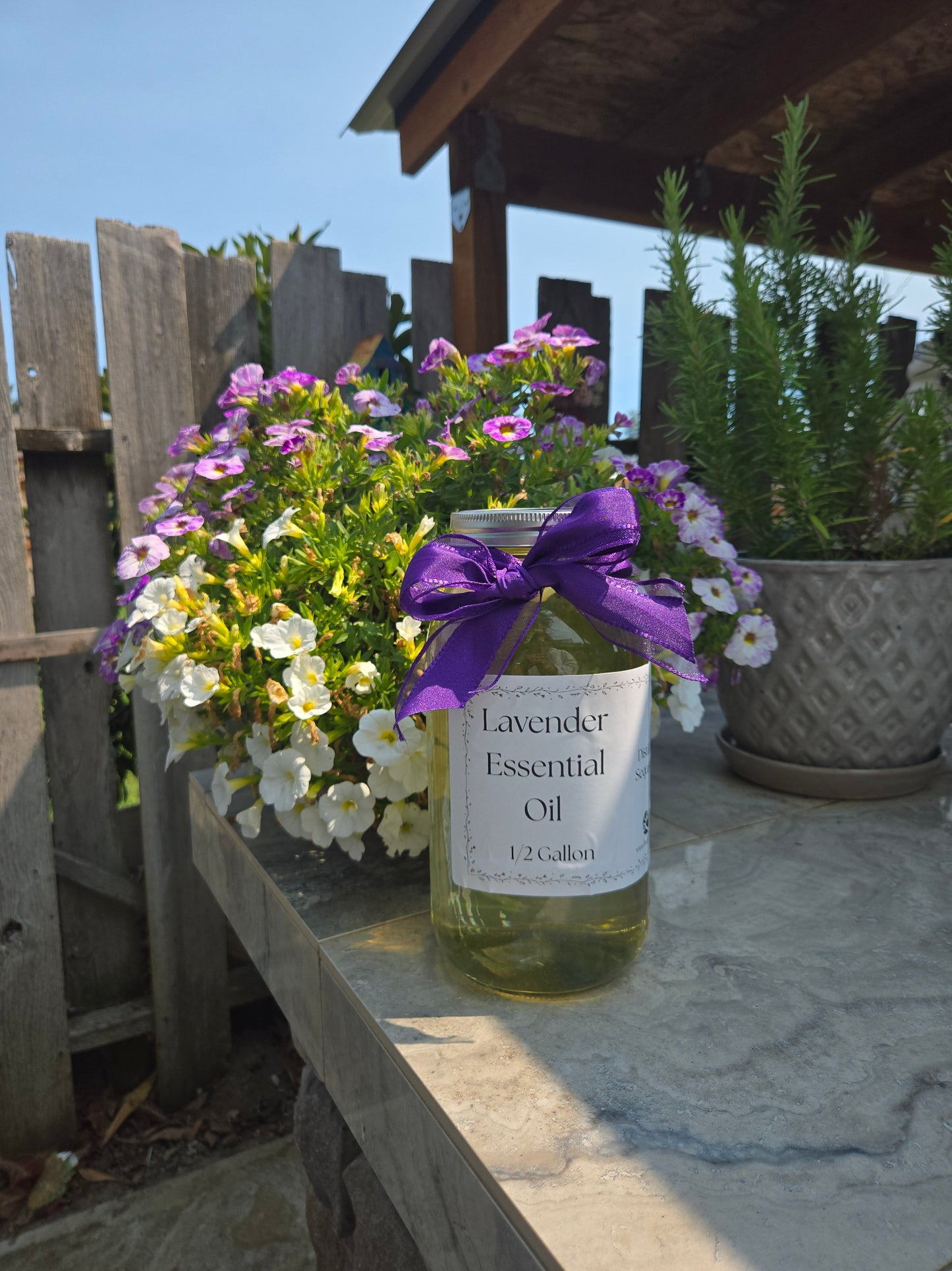 Bulk Lavender Essential Oil Half Gallon Washington Grown Aromatherapy