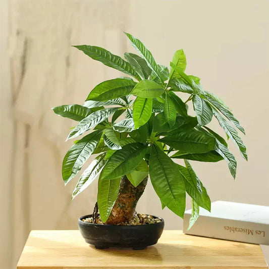 Dlight Decor 43cm Potted Monstera Money Tree for Home and Garden Decor